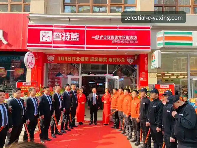亚星官方平台登录与客服支持完整指南